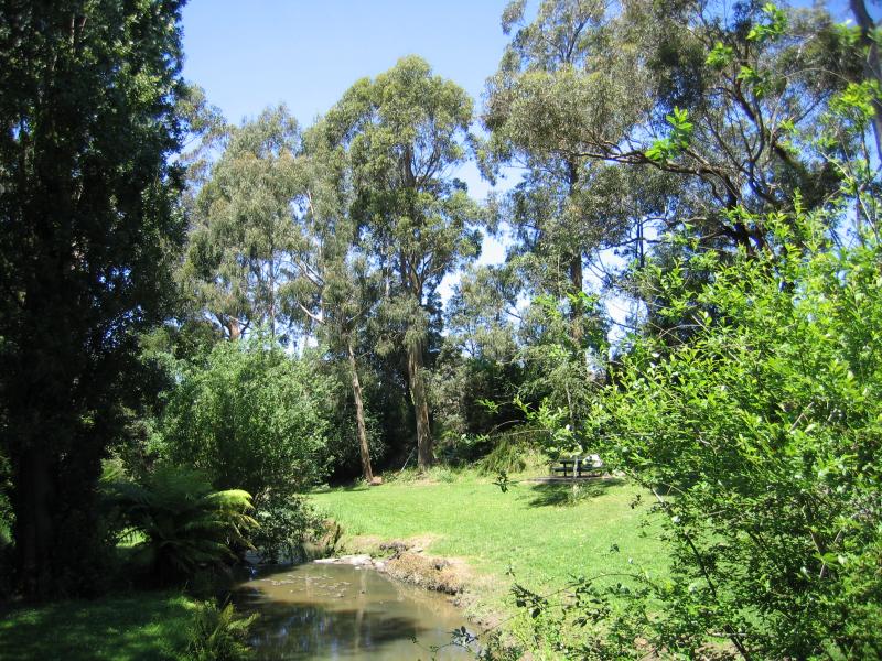 Foster - Pearl Park, Stockland Creek and surroundings, Main Street: Lawns surrounding Stockyard Creek