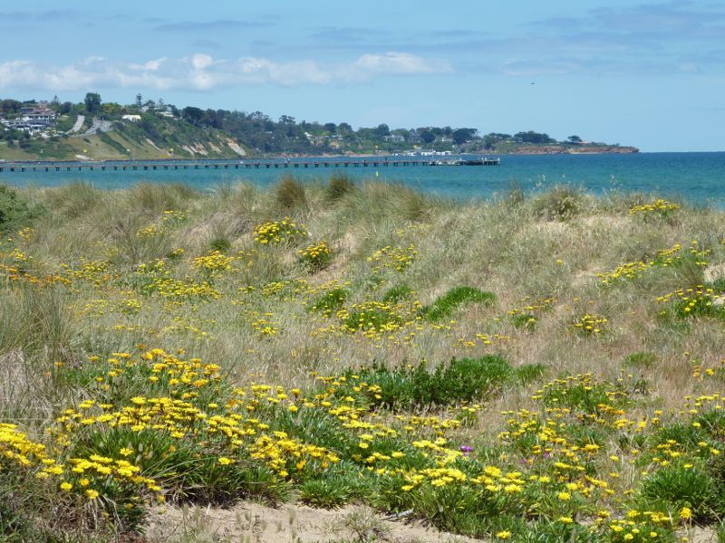 Frankston - Beach at end of Beach Street: View across foreshore towards Frankston Pier