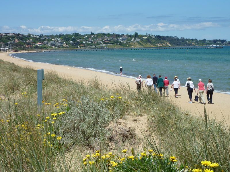 Frankston - Beach at end of Beach Street: View along beach towards Frankston Pier and Olivers Hill