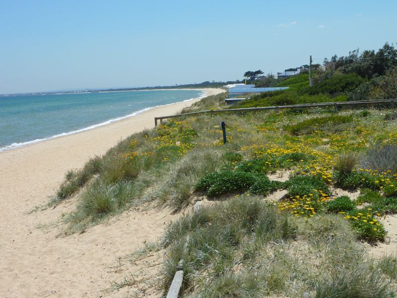 Frankston - Beach at end of Beach Street: Northerly view along foreshore and beach