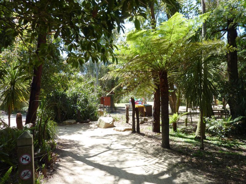Frankston - George Pentland Botanic Gardens: Fernery near entrance gate