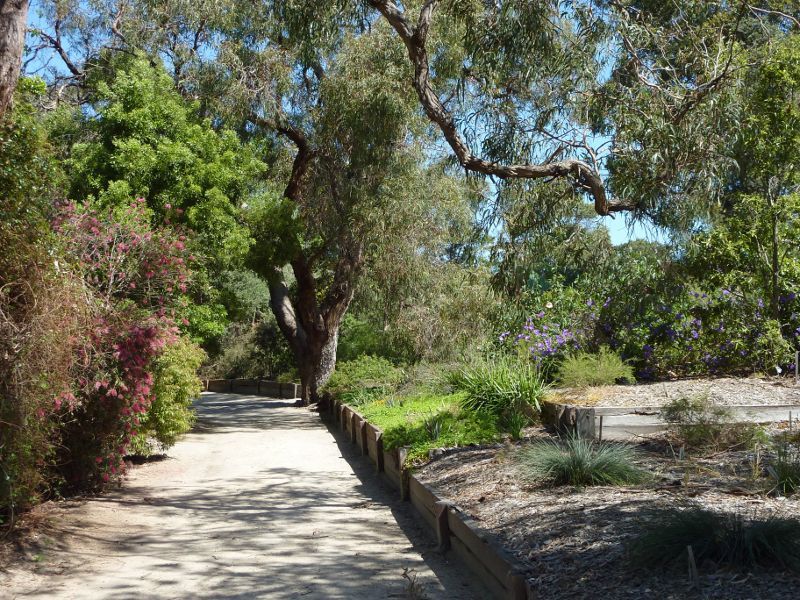 Frankston - George Pentland Botanic Gardens: Pathway near lake