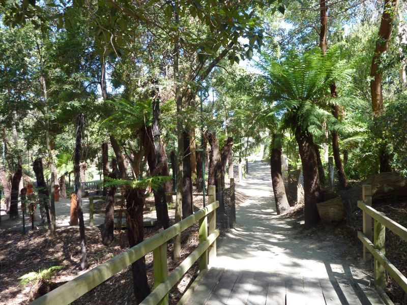 Frankston - George Pentland Botanic Gardens: Fern Gully Walk