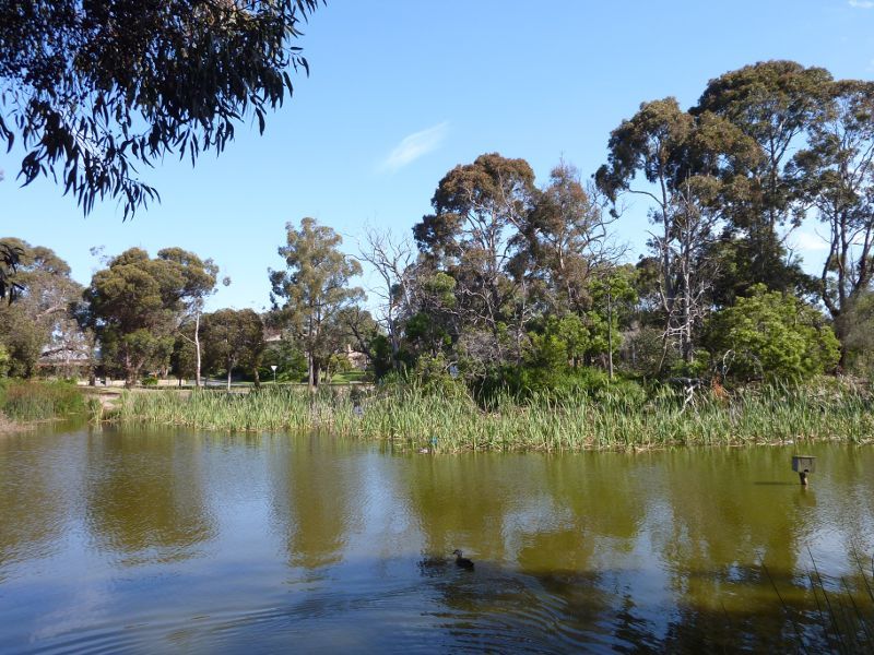 Frankston - Shaxton Circle: Shaxton Circle Lake
