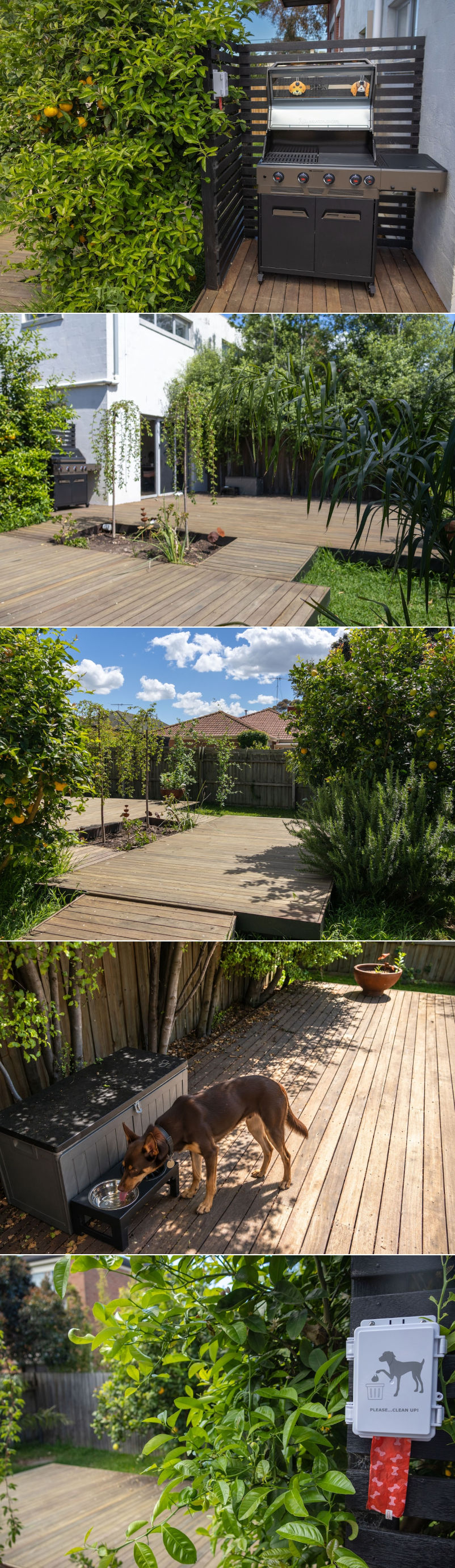 Schoolhouse by the Bay - Backyard