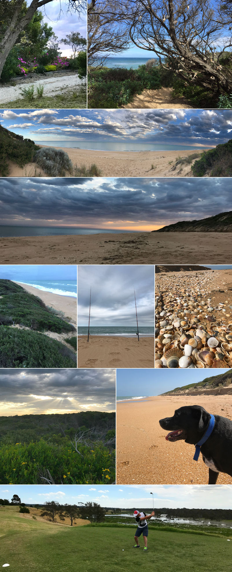 Peace of Paradise - the beach and surroundings