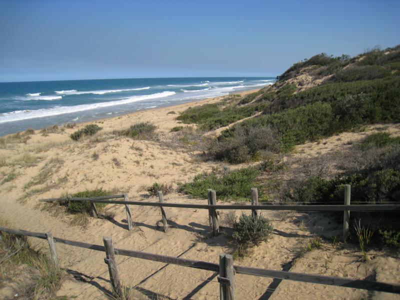 Golden Beach - Park, foreshore and beach, Shoreline Drive near Surf Edge Drive: View south-west along beach from viewing platform