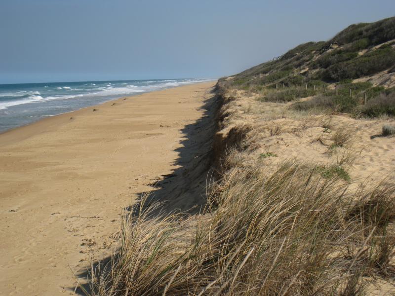 Golden Beach - Park, foreshore and beach, Shoreline Drive near Surf Edge Drive: View south-west along foreshore and beach
