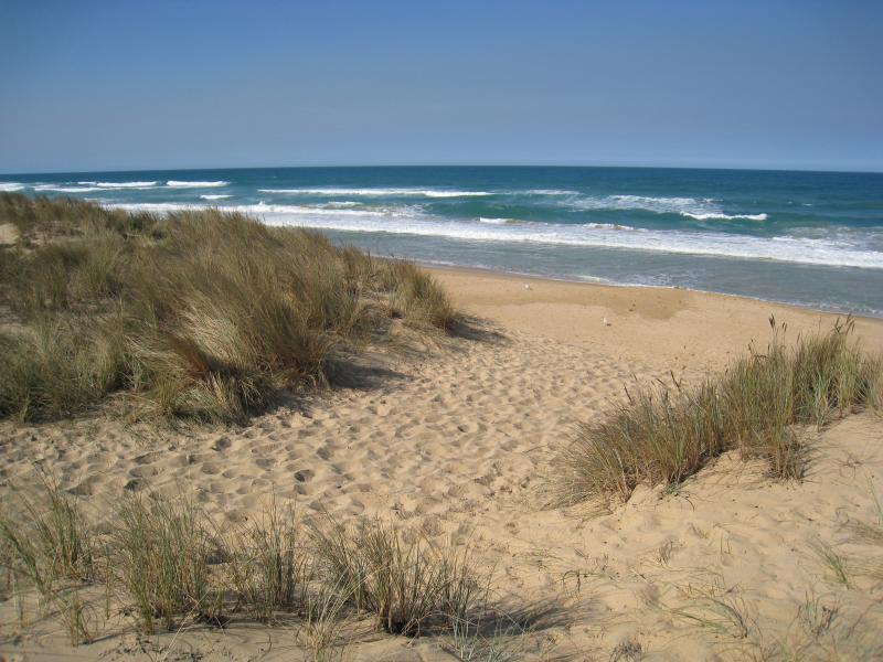 Golden Beach - Park, foreshore and beach, Shoreline Drive near Surf Edge Drive: View from foreshore down to beach