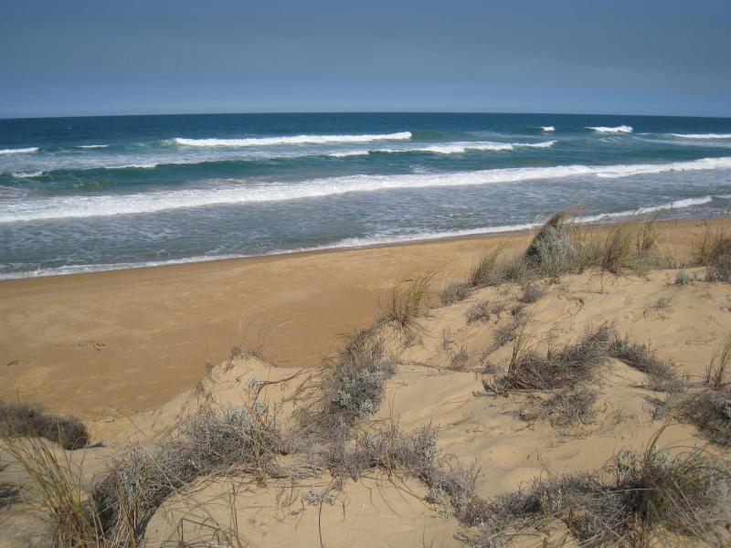 Golden Beach - Park, foreshore and beach, Shoreline Drive near Surf Edge Drive: View down to beach from sand dunes