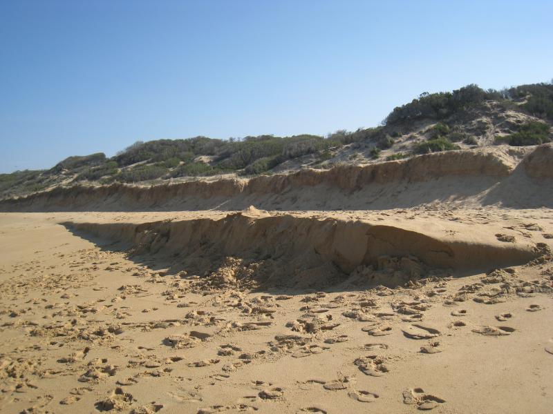 Golden Beach - Park, foreshore and beach, Shoreline Drive near Surf Edge Drive: View inland towards sand dunes from beach