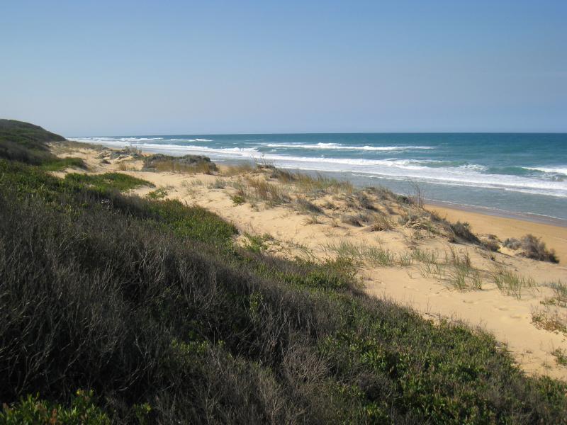 Golden Beach - Park, foreshore and beach, Shoreline Drive near Surf Edge Drive: View north-east along foreshore and beach