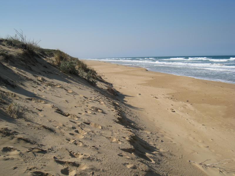 Golden Beach - Park, foreshore and beach, Shoreline Drive near Surf Edge Drive: View north-east along beach