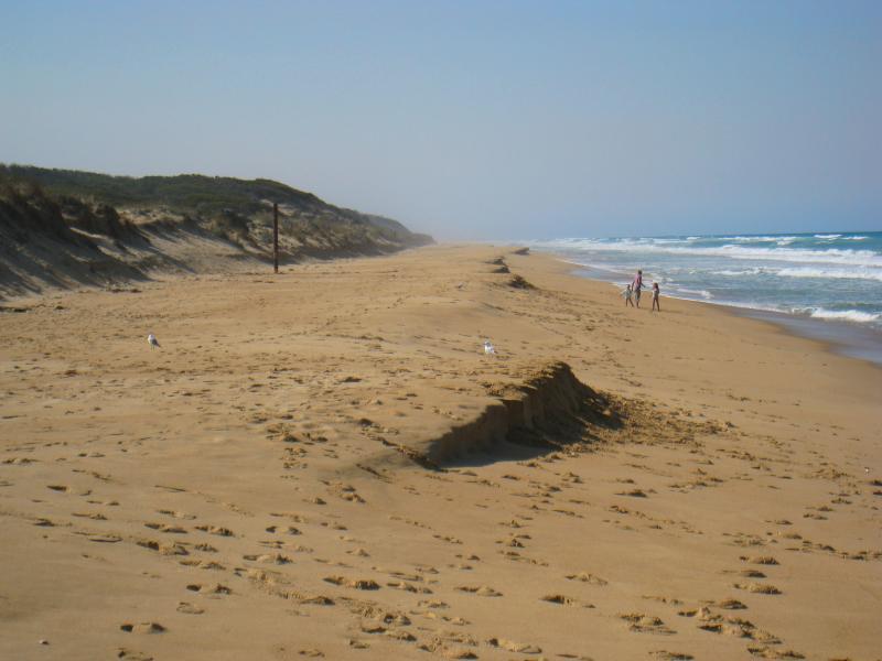 Golden Beach - Park, foreshore and beach, Shoreline Drive near Surf Edge Drive: View north-east along beach