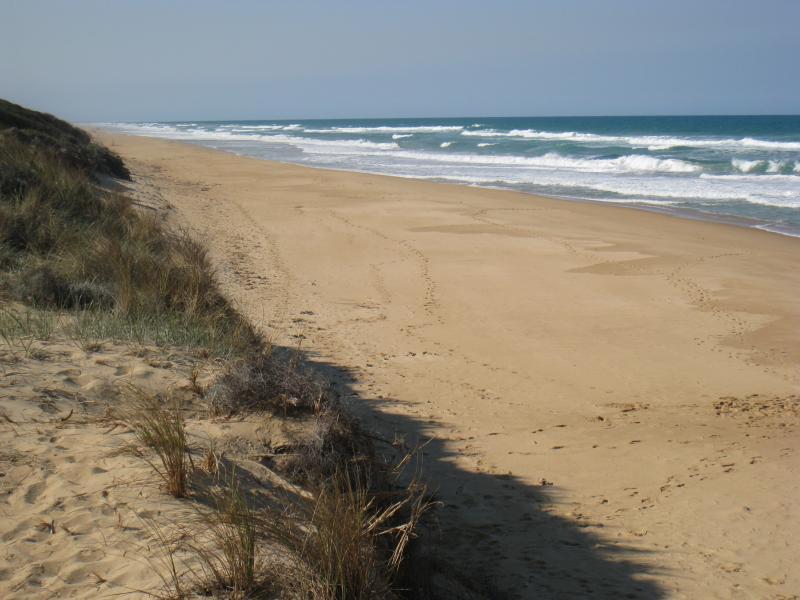 Golden Beach - Camping Reserve, foreshore and beach, Shoreline Drive opposite Moonrise Road: View north-east along beach