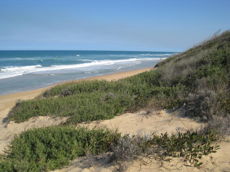 Golden Beach - Camping Reserve, foreshore and beach, Shoreline Drive opposite Moonrise Road: View south-west along foreshore and beach