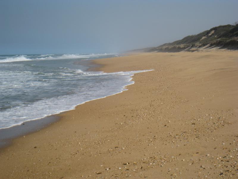 Golden Beach - Camping Reserve, foreshore and beach, Shoreline Drive opposite Moonrise Road: View south-west along beach