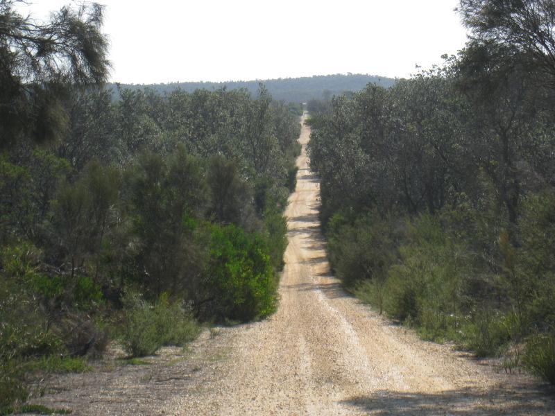 Golden Beach - Shoreline Drive: View north-west along Foreshore Dr from Shoreline Dr