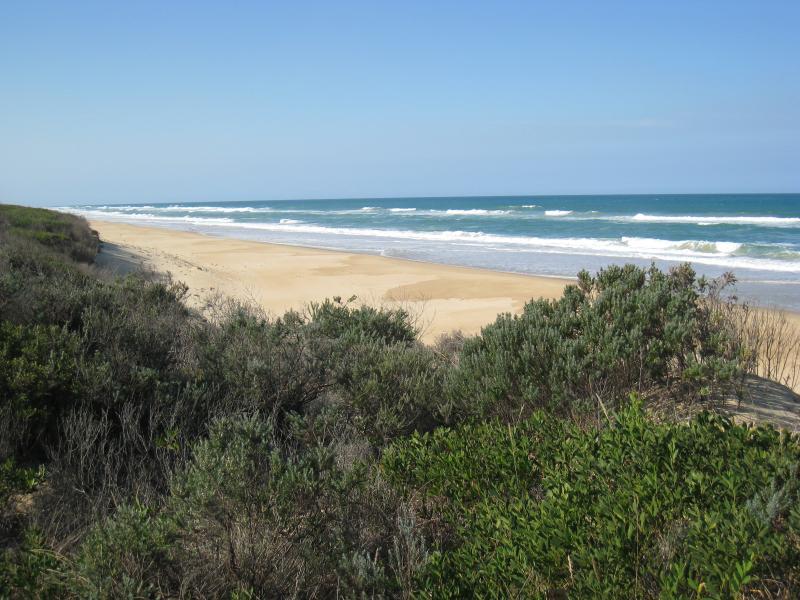 Golden Beach - Trinculo ship wreck on the beach, 6&frac12; kilometres south-west of town centre: View down to beach from sand dunes on foreshore