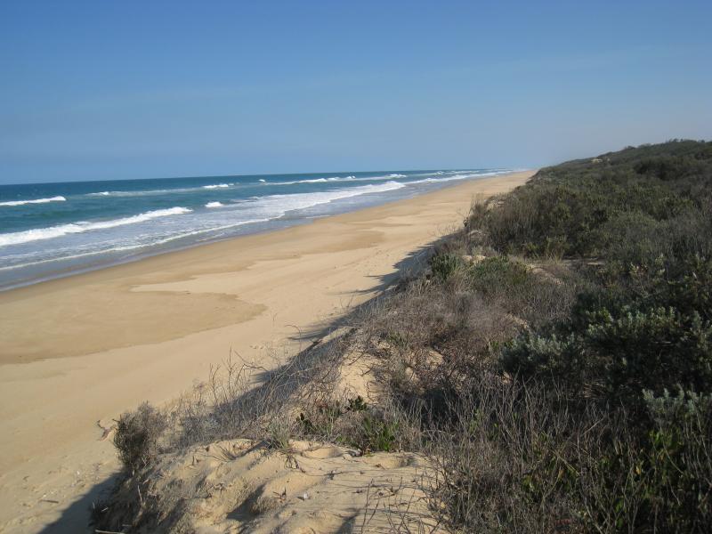 Golden Beach - Trinculo ship wreck on the beach, 6&frac12; kilometres south-west of town centre: View south-west along beach