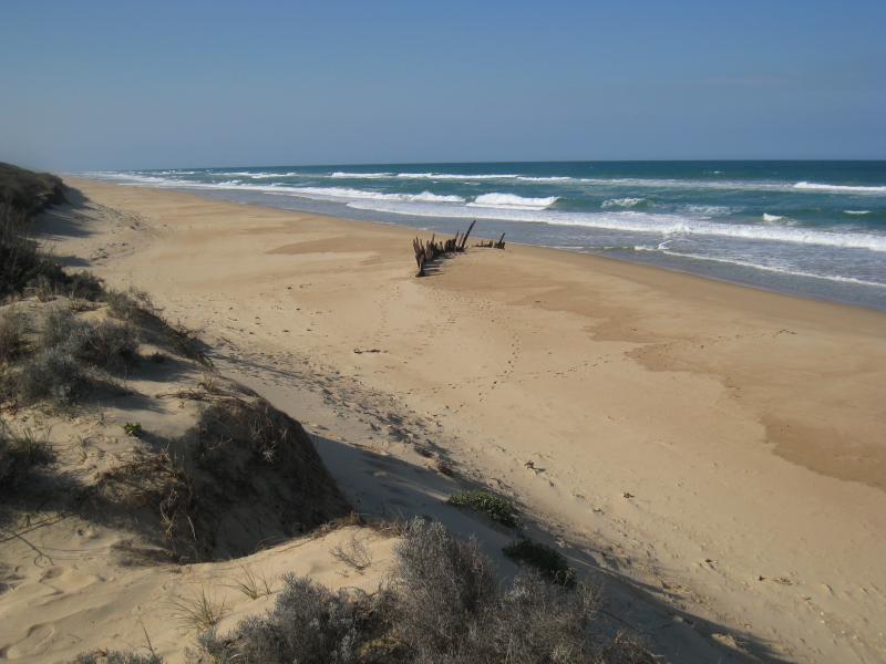 Golden Beach - Trinculo ship wreck on the beach, 6&frac12; kilometres south-west of town centre: View north-east along beach towards ship wreck