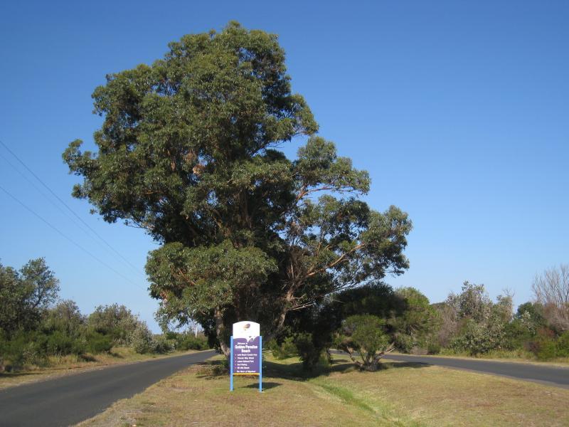 Golden Beach - Surf Edge Drive north-west of town centre: View south-east along Surf Edge Dr at Cooper St