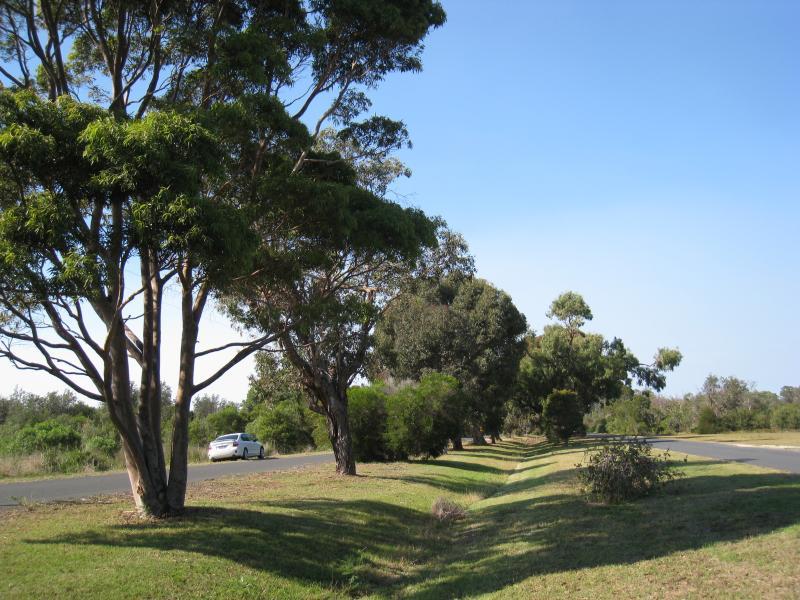 Golden Beach - Surf Edge Drive north-west of town centre: Grass and trees along centre of Surf Edge Dr