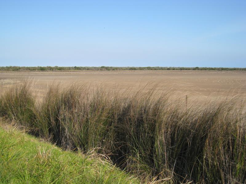 Golden Beach - Lake Reeve (usually dry) at Longford-Golden Beach Road: View south along lake