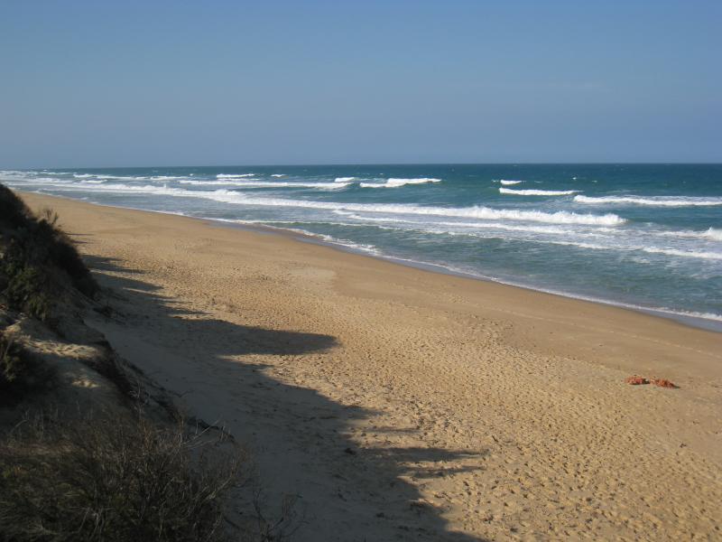 Golden Beach - Paradise Beach township, camping area on The Boulevard near 30th Street: View north-east along beach from viewing platform