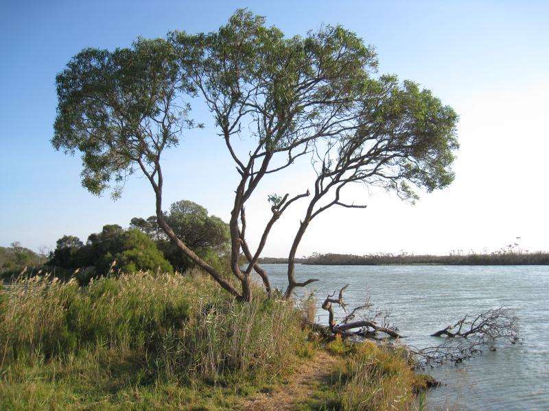 Golden Beach - McLennan Strait, Seacombe Landing Road: View south-west along McLennan Strait near boat ramp