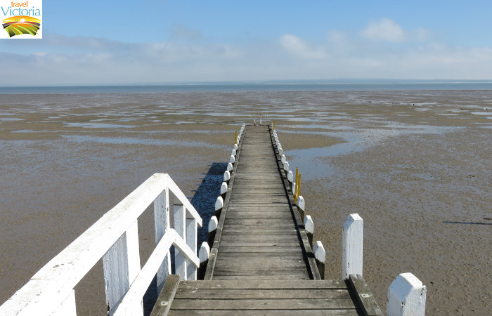 Grantville - Grantville Pier extending across the mudflats on Western Port when the tide is out