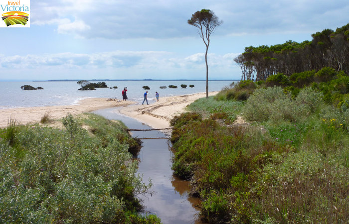 Grantville - Beach at Colbert Creek