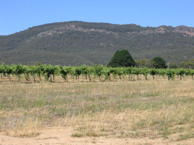 Halls Gap - Pomonal and surroundings, east of Halls Gap: The Gap Winery, view west from Lake Fyans Rd