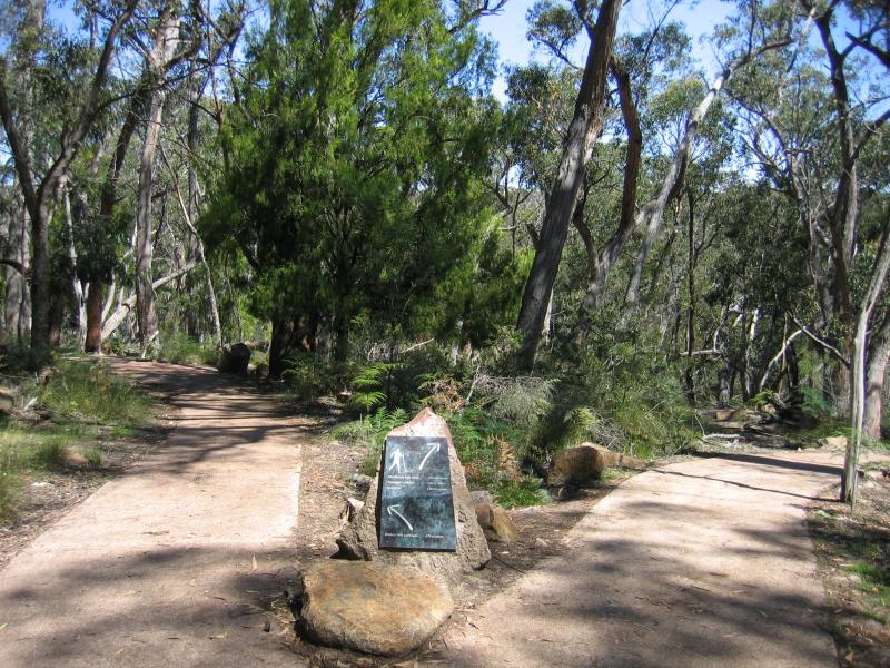 Halls Gap - MacKenzie Falls: Walking track to Broken Falls and MacKenzie Falls