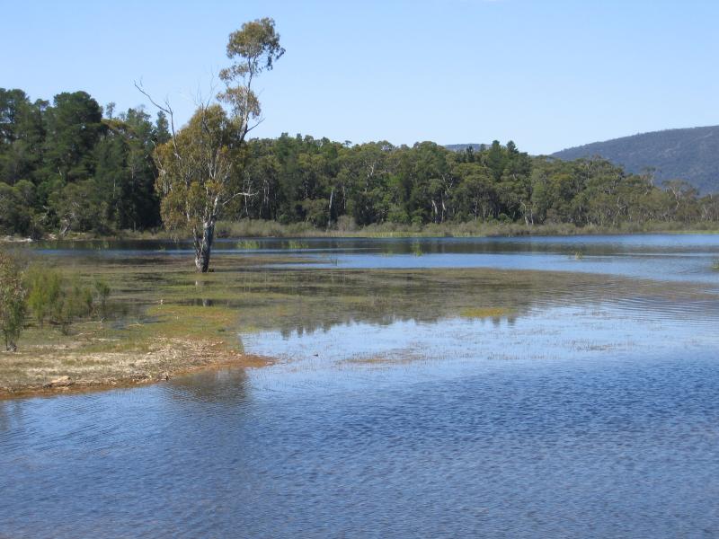Halls Gap - Lake Wartook: Lake