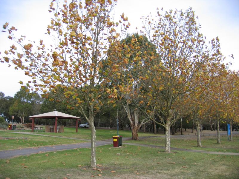 Hamilton - Lake Hamilton: BBQ and picnic areas at beach at end of Rippon Rd