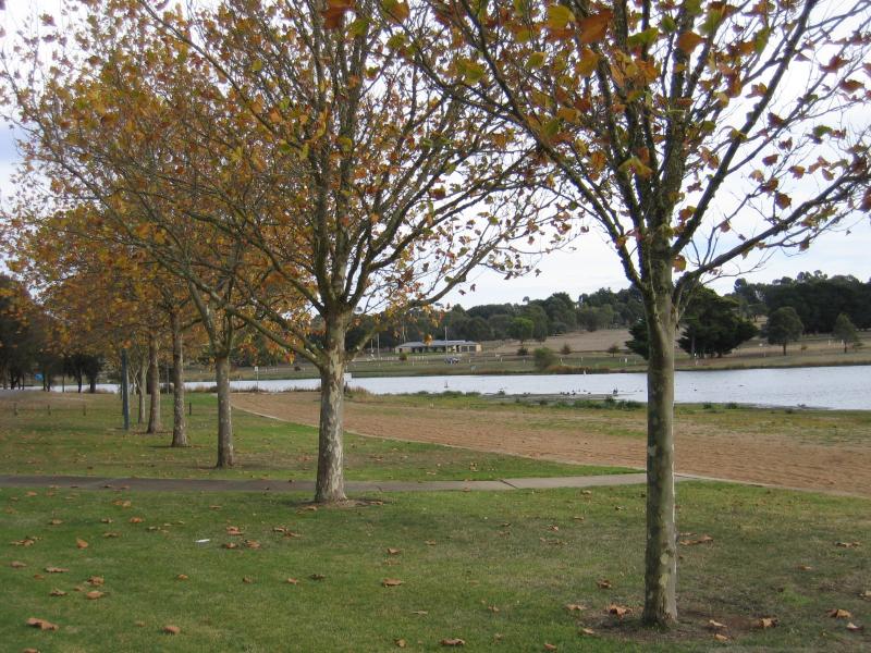 Hamilton - Lake Hamilton: View south-west along lake at beach at end of Rippon Rd