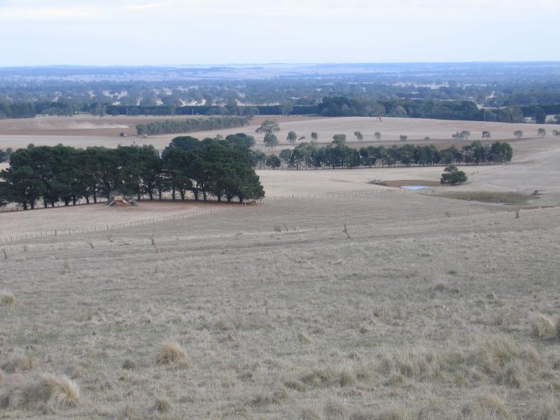 Hamilton - Mount Bainbridge road at lookout: Westerly view