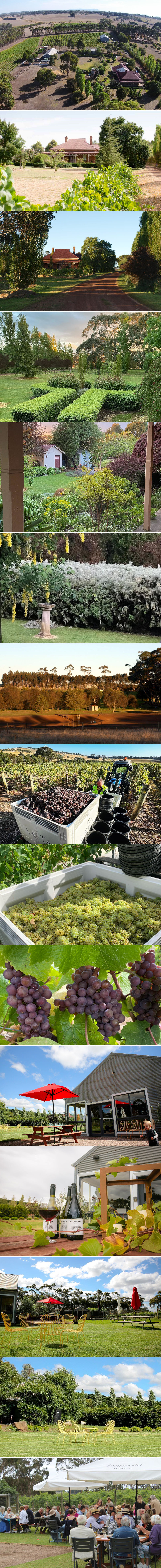 Pierrepoint Wines & Accommodation - Gardens and vineyard