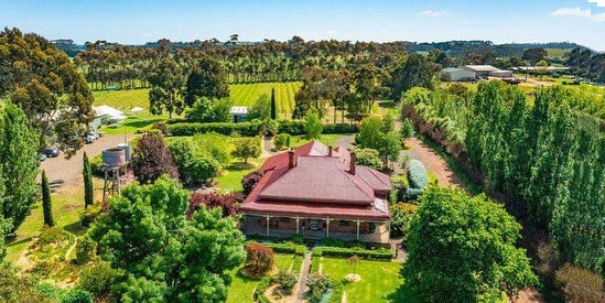 Pierrepoint Wines, Hamilton