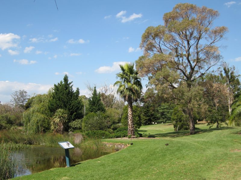 Hampton - G.L. Basterfield Park, Dane Road, Hampton East: Lawns beside lake
