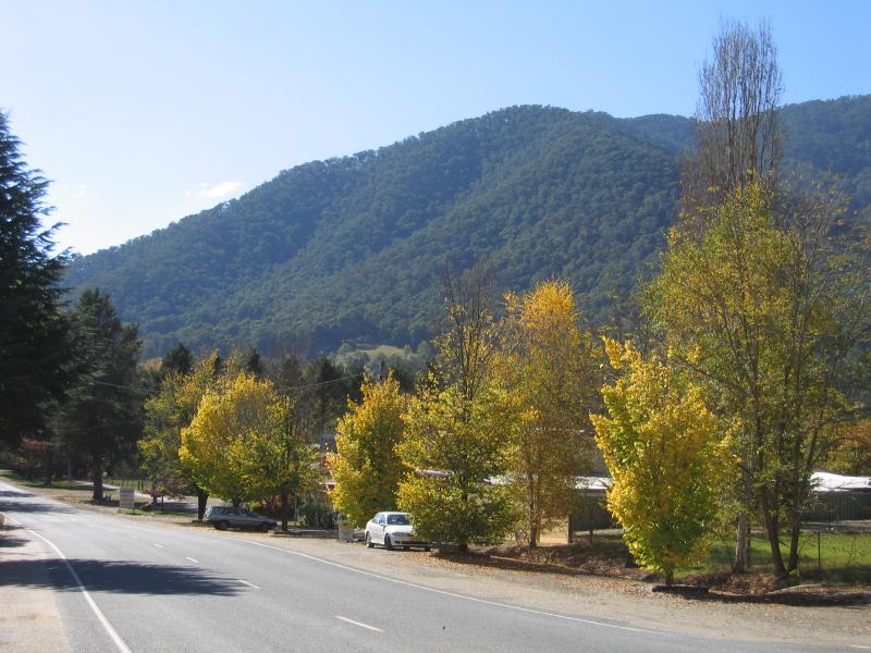 Harrietville - Shops and commercial centre, Great Alpine Road: View north along Great Alpine Rd towards Snowline Hotel