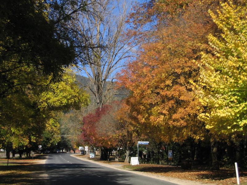 Harrietville - Tauare Park, Pioneer Park and Ovens River East Branch: View south along Great Alpine Rd at Pioneer Park