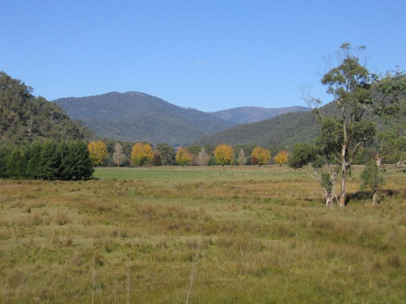 Harrietville - Northern outskirts of Harrietville: View south-east, Great Alpine Rd, 4 km north of Harrietville