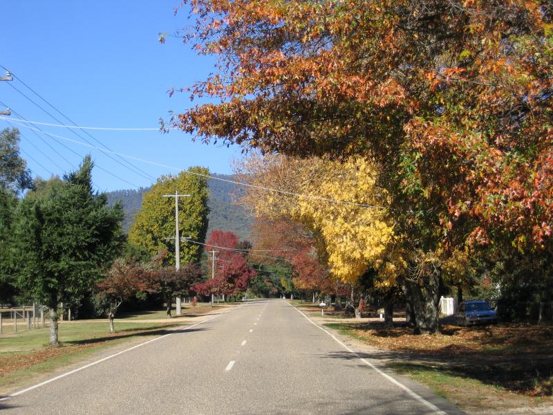 Harrietville - Northern outskirts of Harrietville: View south along Great Alpine Rd, north of Newmans La