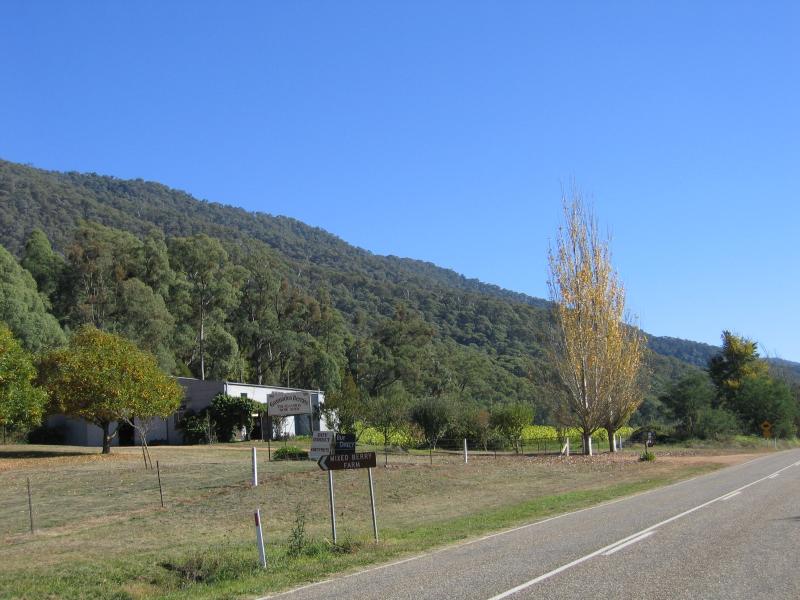 Harrietville - Smoko, Great Alpine Road 10 kilometres north of Harrietville: Gunnadoo berry farm