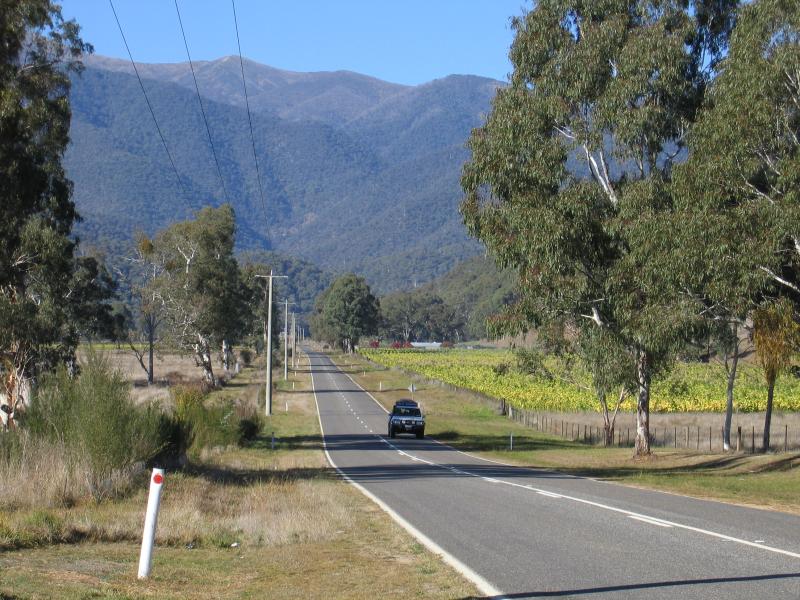 Harrietville - Smoko, Great Alpine Road 10 kilometres north of Harrietville: View south-east along Great Alpine Rd at Steiners La