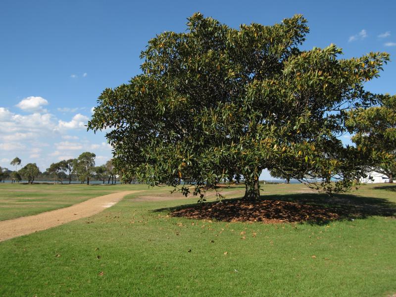Hastings - Foreshore and Fred Smith Reserve, Marine Parade: View through reserve from Marine Pde