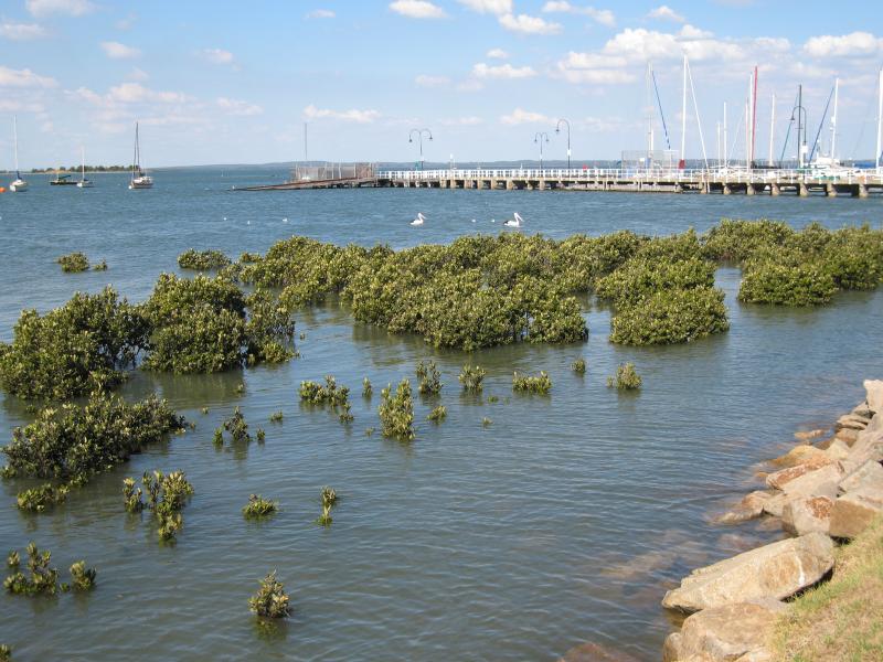 Hastings - Foreshore and Fred Smith Reserve, Marine Parade: View east across bay towards jetty