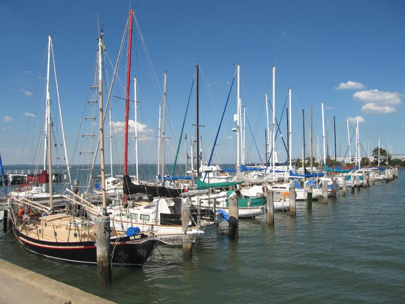 Hastings - Hastings Jetty and Pelican Park Recreation Centre: Boat marina at jetty